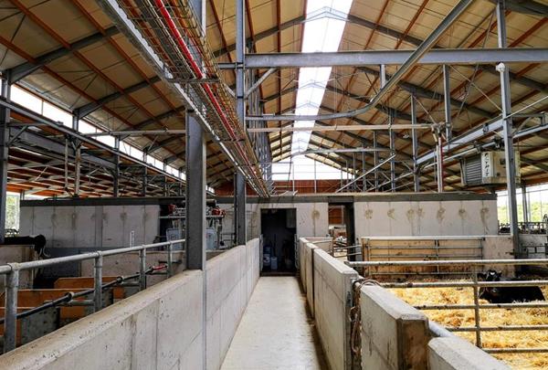 View on the milking chamber