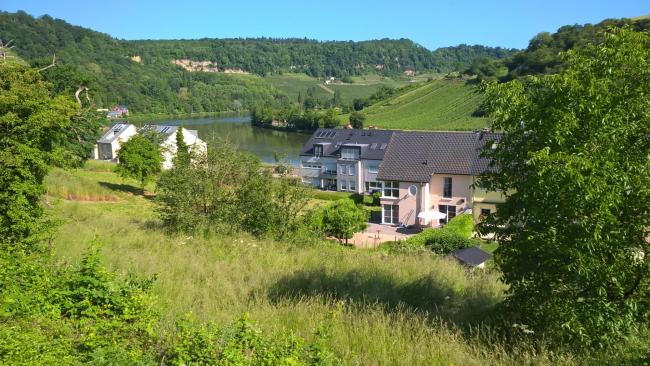 Luxury villa with Moselle view