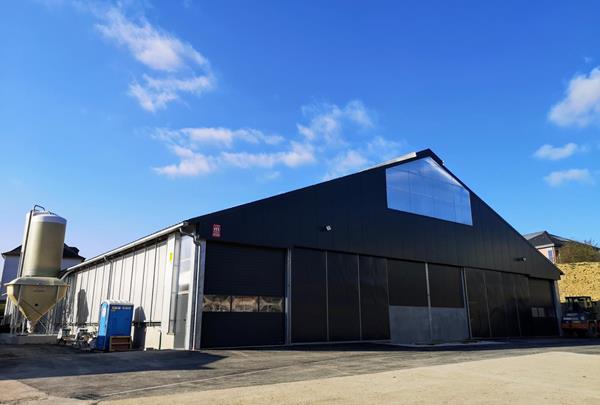 Dairy barn with manure cellar