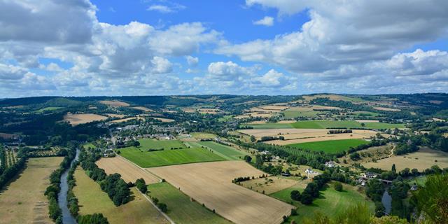 immobilien