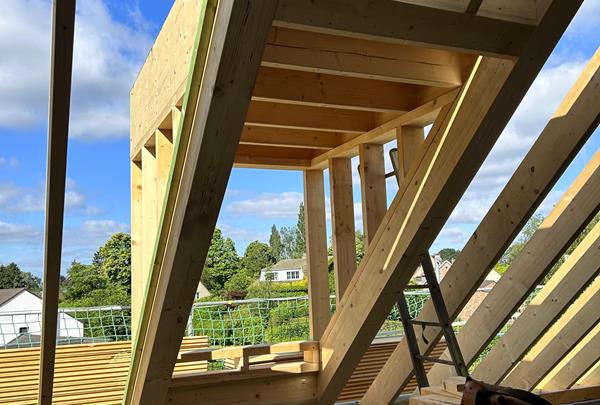 A Townhouse in a New Light