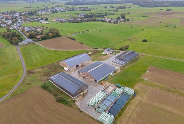 Resettler farm in Nospelt - References