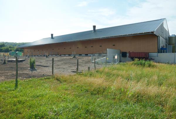 Exploitation agricole à Schrassig