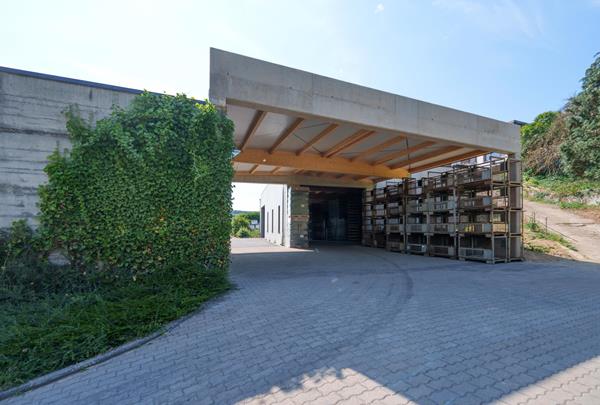 Winery Storage Hall in Hettermillen