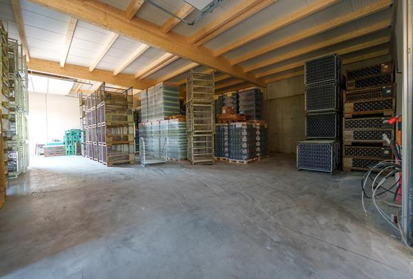 Winery Storage Hall in Hettermillen