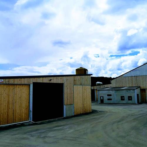 Yard entrance and stables - Yard entrance with calf barn and dairy cattle shed