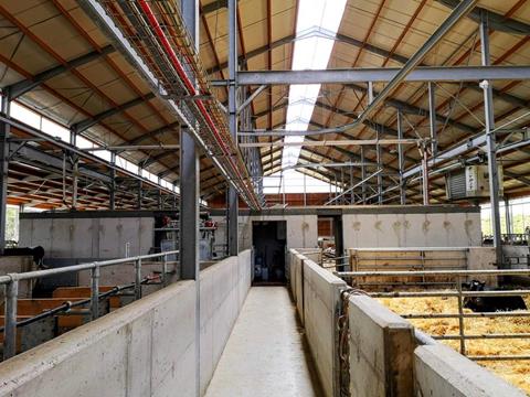 Blick auf die Melkkammer - Blick auf die Melkkammer mit 2 Melkroboter