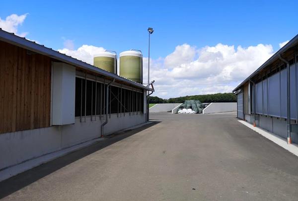 Inner courtyard between dairy barn and calf barn