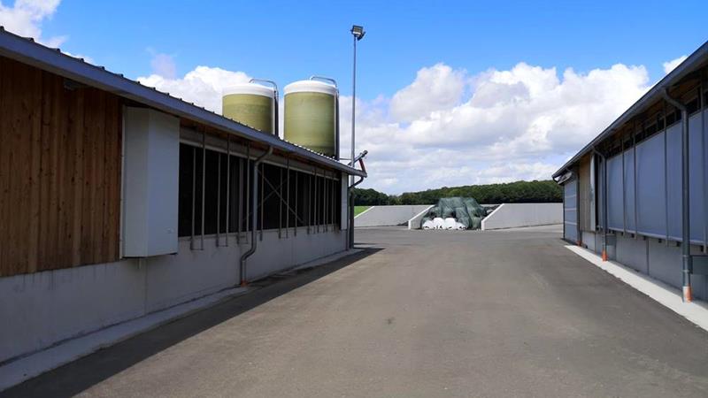 Cour intérieure entre l'étable à vaches laitières et l'étable à veaux