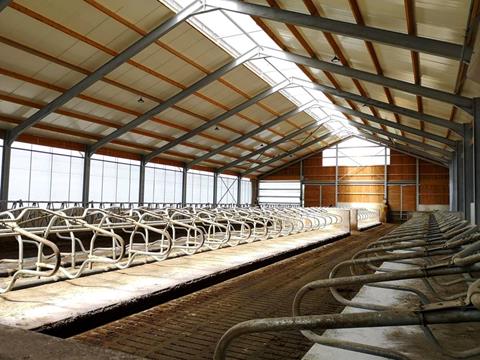 Étable à vaches laitières - logettes et sol à fentes