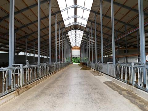 Bâtiment d'élevage de bovins laitiers d'une longueur totale de 82 m