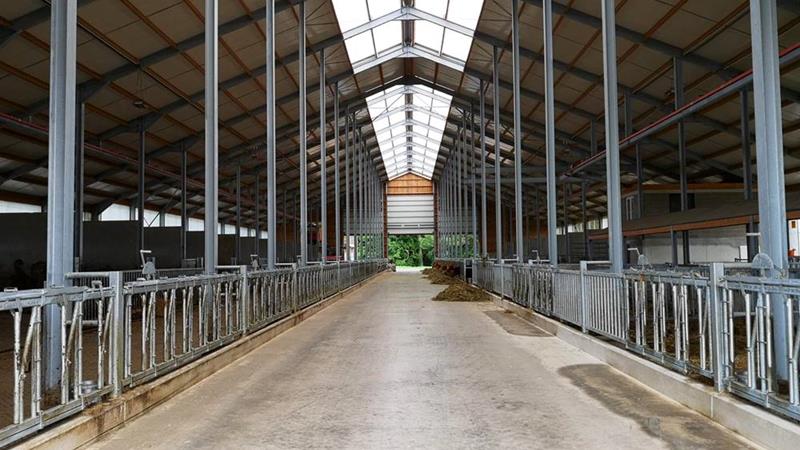 Bâtiment d'élevage de bovins laitiers d'une longueur totale de 82 m