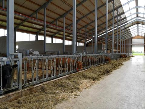 Bonne quantité d'aliments sur la table d'alimentation