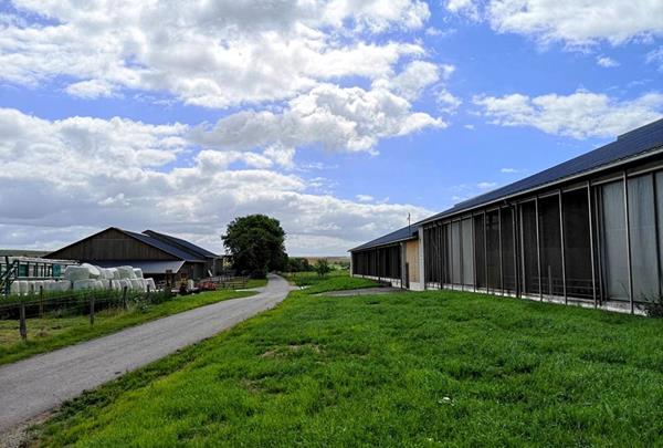 Vue sur les bâtiments d'étable nouveaux et existants