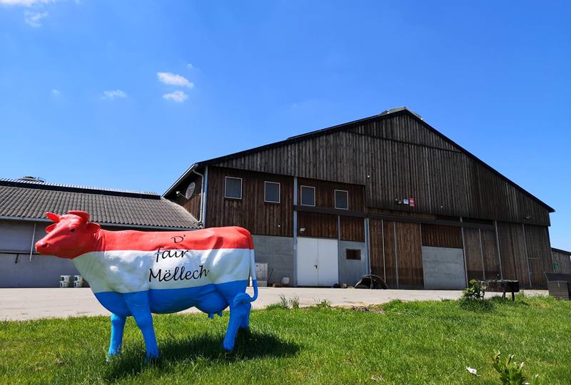 Aussiedlerhof, Beidweiler - Genehmigungsauflagen – Pläne