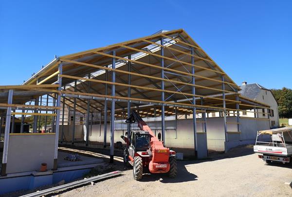 Calf barn and young cattle barn