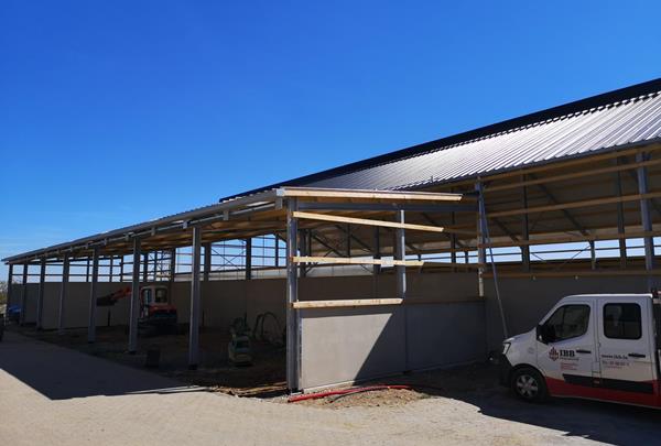 Calf barn and young cattle barn