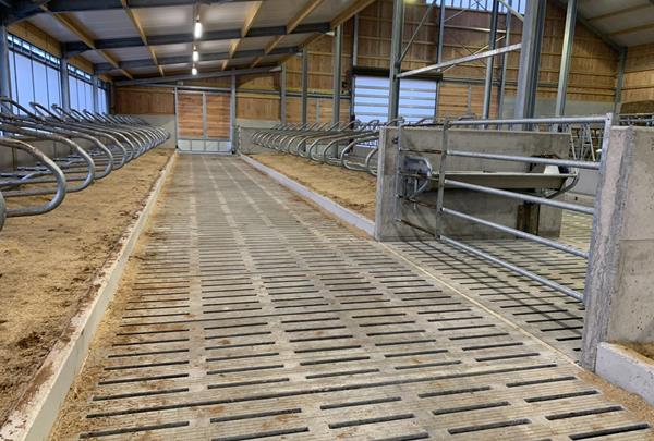 Calf barn and young cattle barn